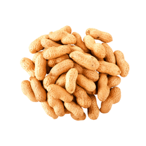 Raw Peanuts