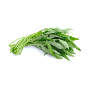 Morning Glory (Water Spinach)